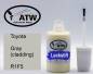 Preview: Toyota, Gray (cladding), R1F5: 20ml Lackstift, von ATW Autoteile West.